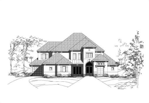 Large Image