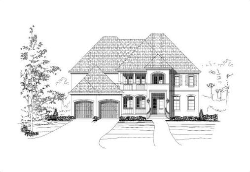 Large Image