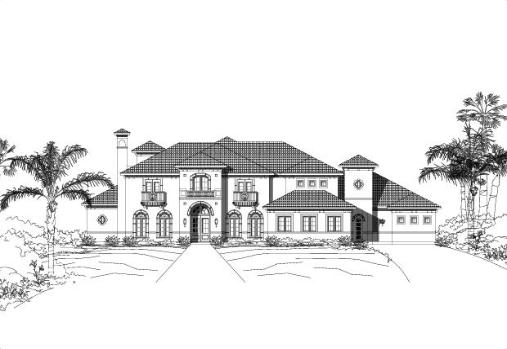 Large Image