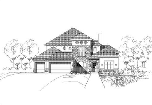 Large Image