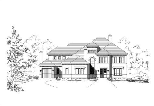 Large Image