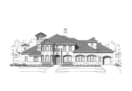 Large Image