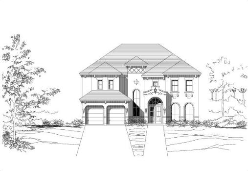 Large Image