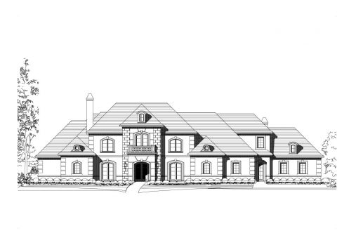 Large Image