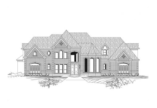 Large Image