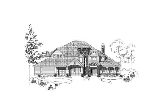 Large Image
