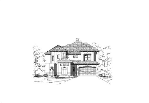 Large Image