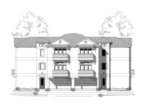 Large Image