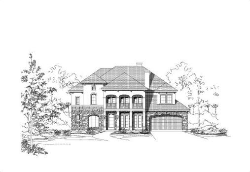 Large Image
