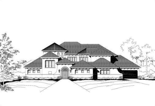 Large Image