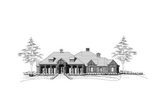 Large Image