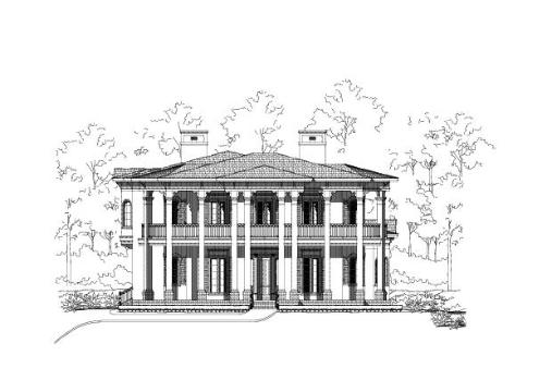 Large Image
