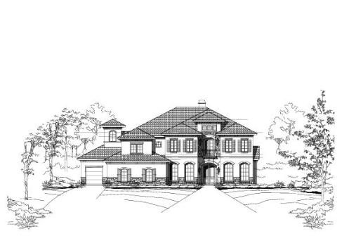 Large Image