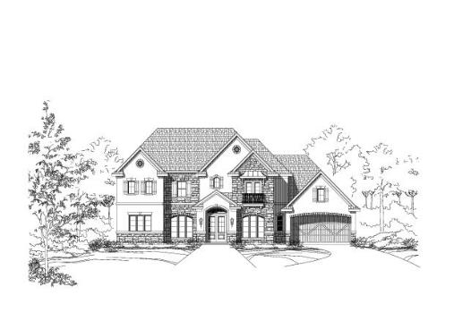 Large Image
