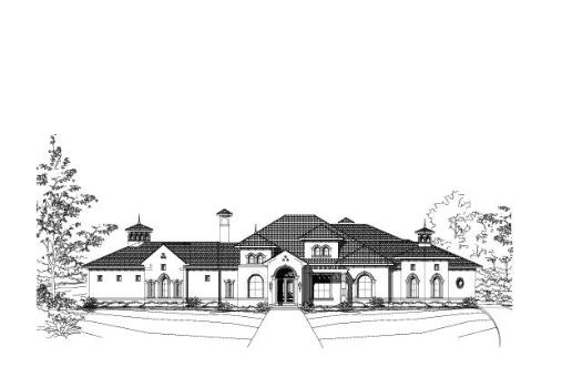 Large Image