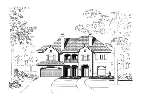 Large Image