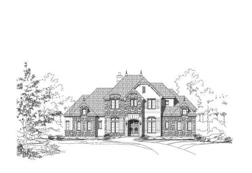 Large Image