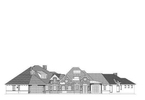 Large Image