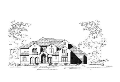 Large Image