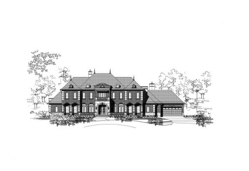 Large Image