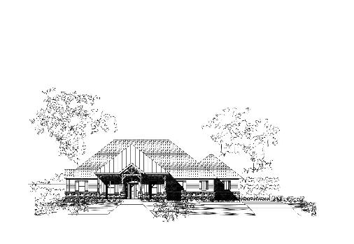 Large Image