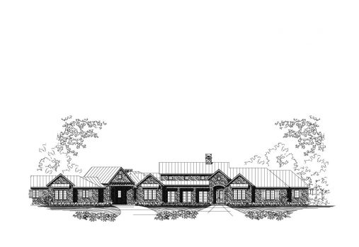 Large Image
