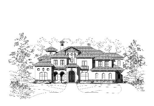 Large Image