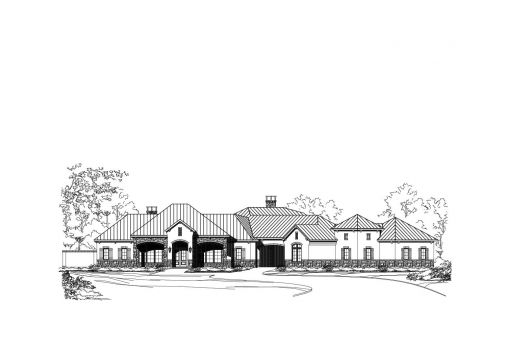 Large Image
