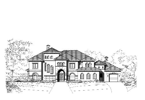 Large Image