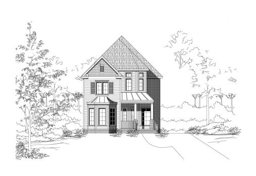 Large Image