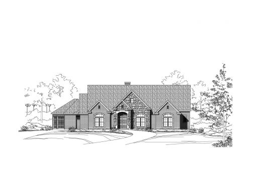 Large Image
