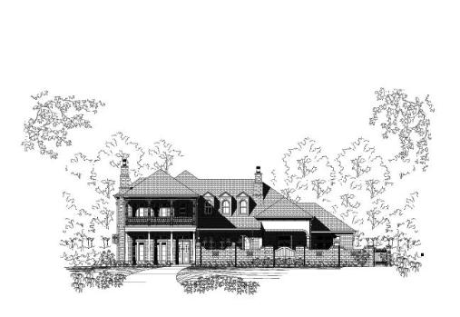 Large Image