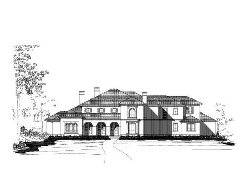 Large Image