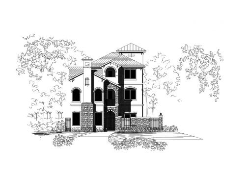 Large Image