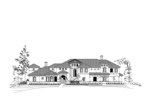 Large Image