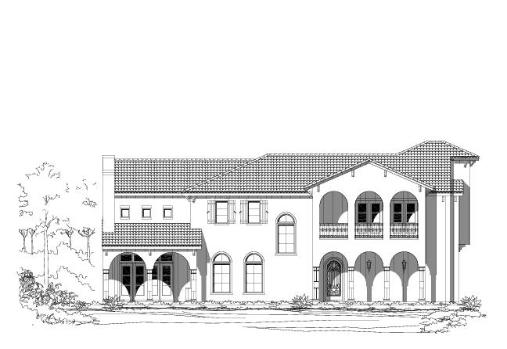Large Image