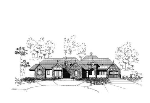 Large Image