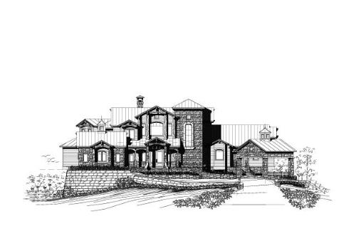 Large Image