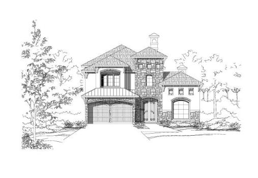 Large Image