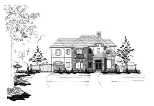 Large Image