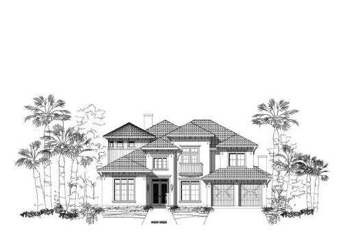 Large Image