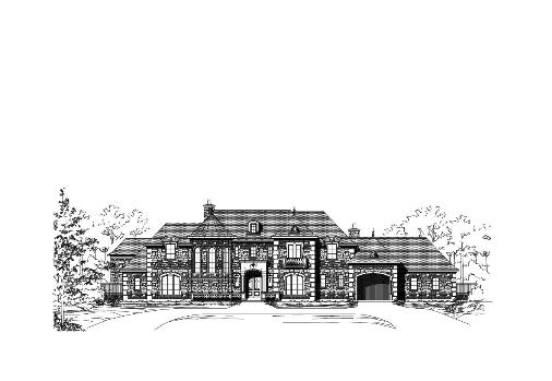 Large Image