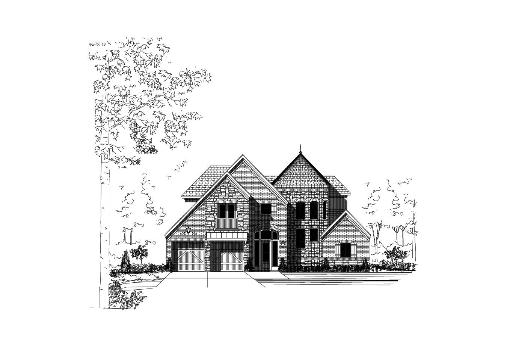 Large Image