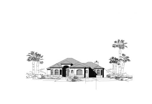 Large Image