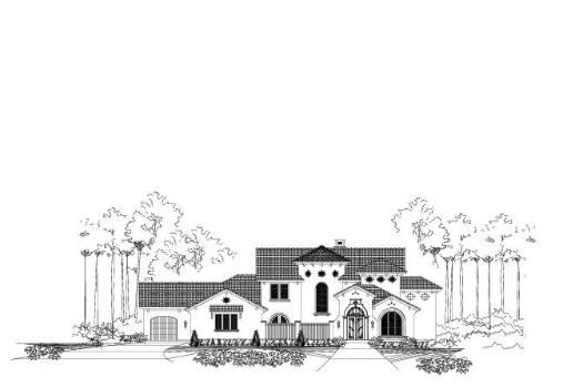Large Image
