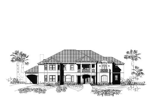 Large Image