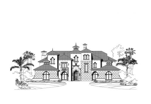 Large Image