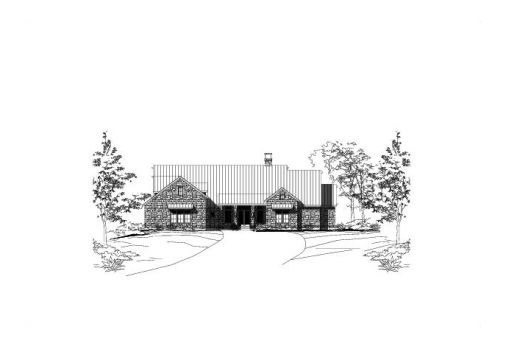 Large Image