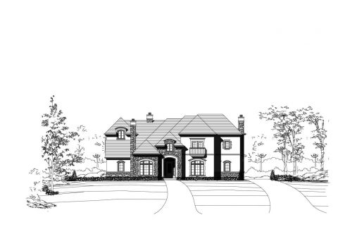 Large Image