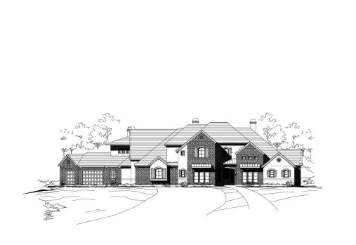 Large Image